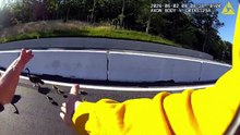 Des policiers aident une oie à traverser l'autoroute... beau geste