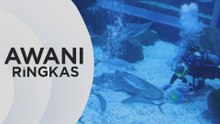AWANI Ringkas: Jerung ramal Piala Dunia