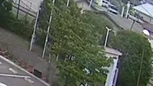 Un oso hiere a cuatro personas en Fukushima (Japón)