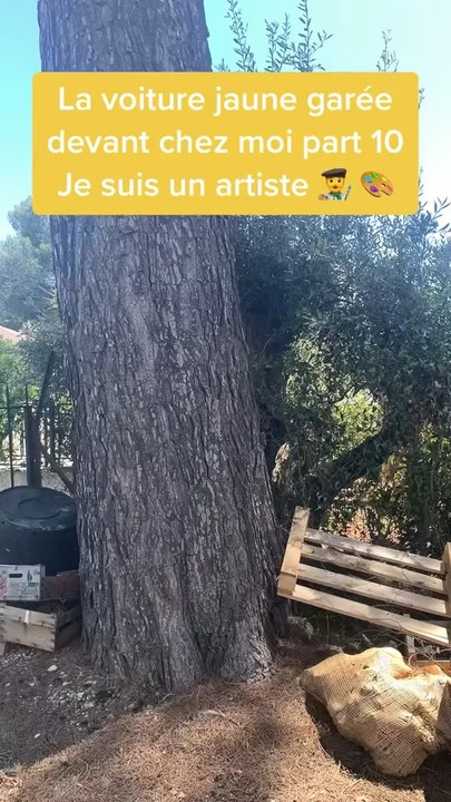 La voiture jaune 🚕 part 10 #smilyjayce #agogo #potdemoutarde #voiture #jaune