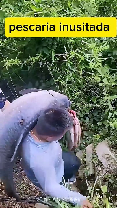 Fish's and more Fish's