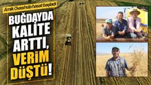 Buğdayda Hasat Başladı: Çiftçi Fiyattan da Verimden de Memnun Değil