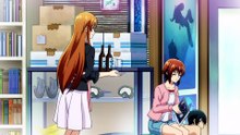 Grand Blue Dreaming S01E06