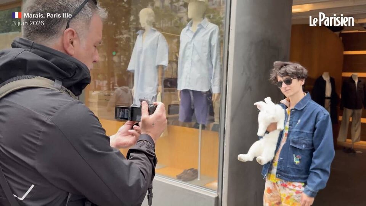 Casper, le lapin géant devenu star des réseaux... grâce au PSG