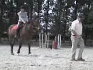 Hobby x3: Jlm Trop ❤️