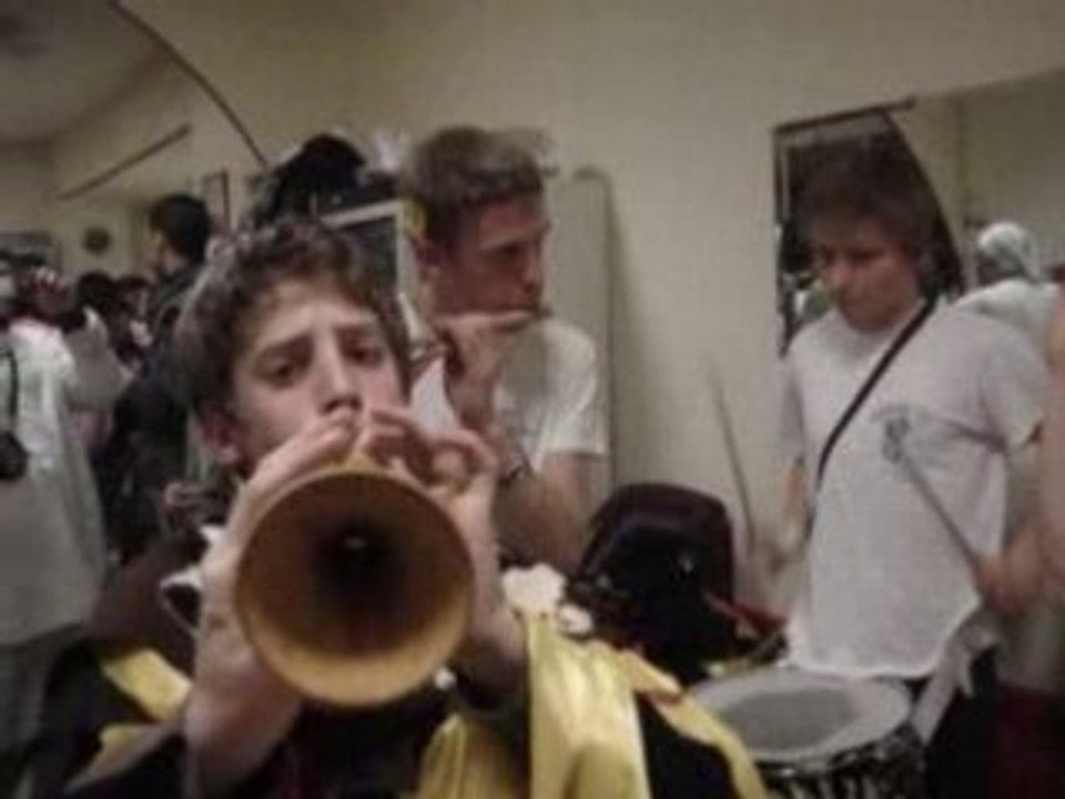 2 - Carnaval Varages (Var) - Fadas - 16 & 17 février 2008