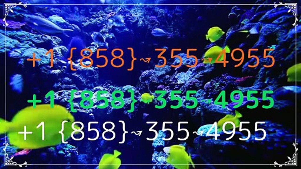 ≋{{CoMpLeTe List}} of Official COINBASE)TECHNICAL SUPPORT™️Phone Numbers ≋+1 {858}↝355↝4955 (6)