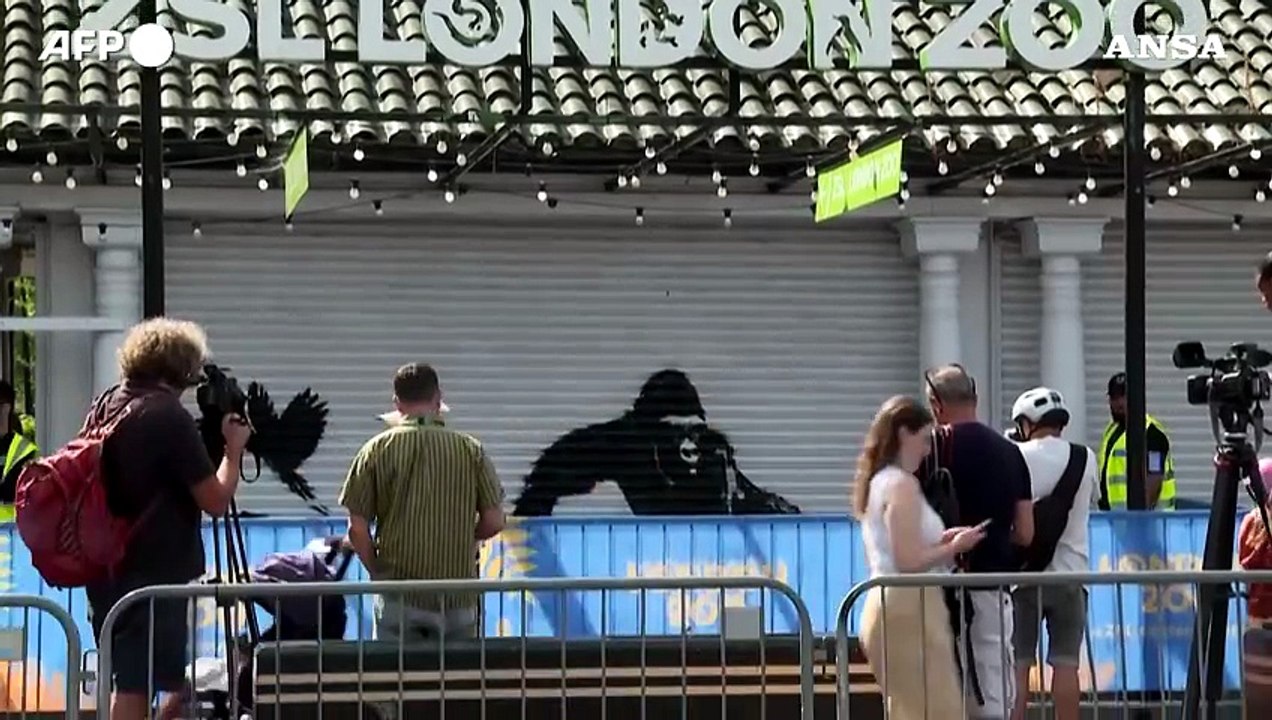 Londra, una nuova opera di Banksy scoperta allo zoo