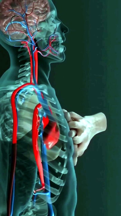 how's CPR work ?
