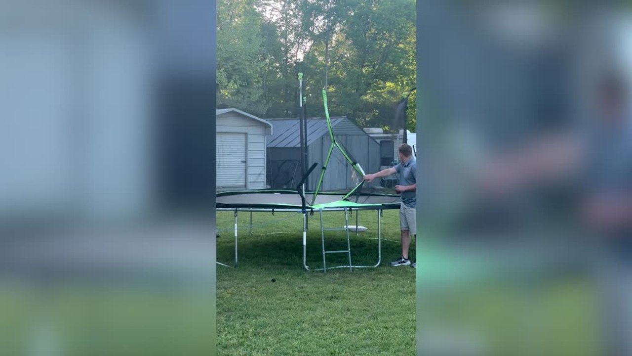 Stray Cat Gets Stuck in Trampoline Net in Hilarious Escape Attempt