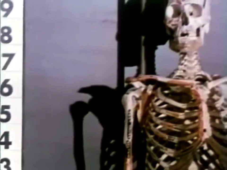 creature from black lake / 1976 movie