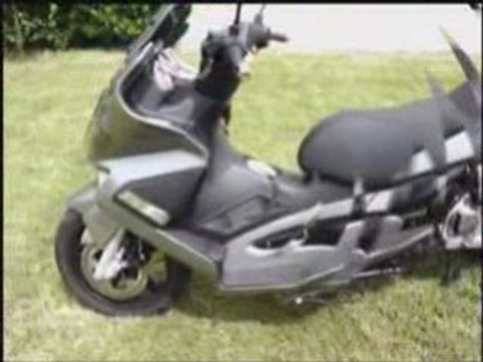 NEXUS 2008