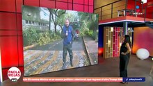 Fuertes lluvias derriban árboles en la Benito Juárez | De Pisa y Corre
