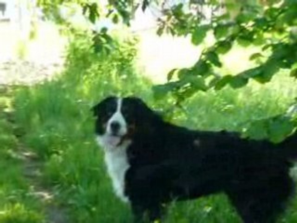 Kaiser pète un cable