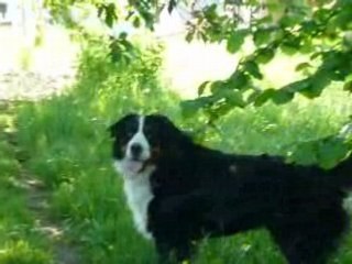 Kaiser pète un cable