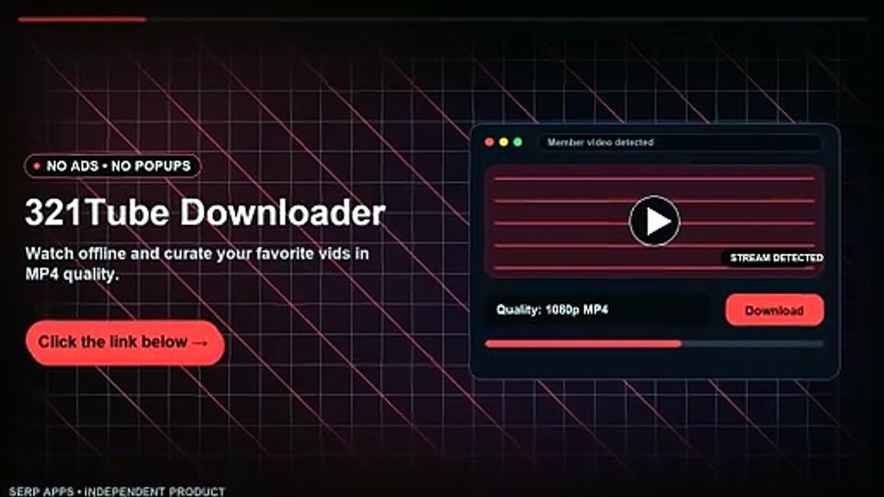 How to Download 321Tube Videos