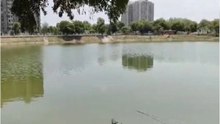 Ahmedabad: जगतपुर और छारोडी के तालाबों में जल गुणवत्ता में सुधार, बदली तस्वीर