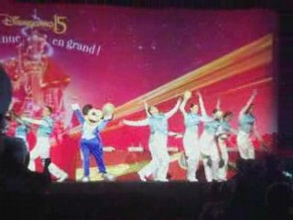 AG 2008 Disneyland Resort Paris