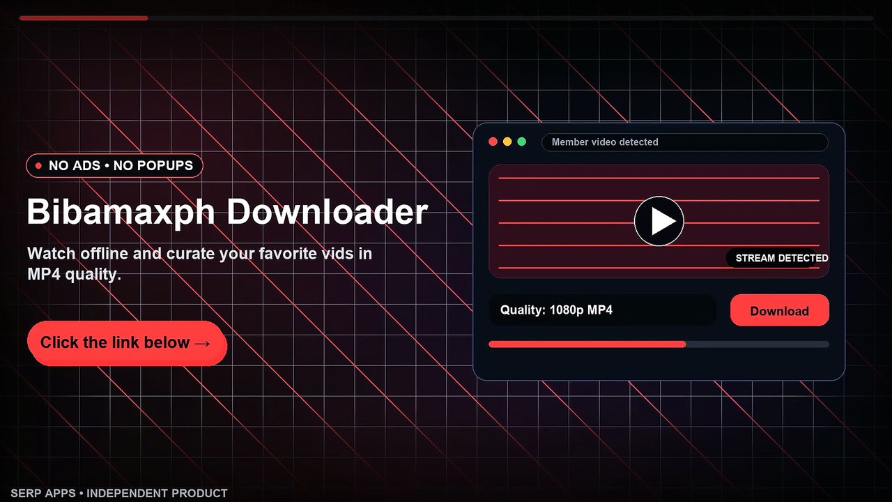 How to Download BibamaxPH Videos