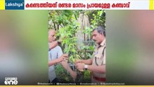 എന്തോ ഔഷദമാണത്രേ...; കോട്ടയം ജില്ലാ ആശുപത്രി പരിസരത്ത് കഞ്ചാവ് ചെടി കണ്ടെത്തി