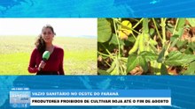 Vazio sanitário da soja já está em vigor na região Oeste do Paraná