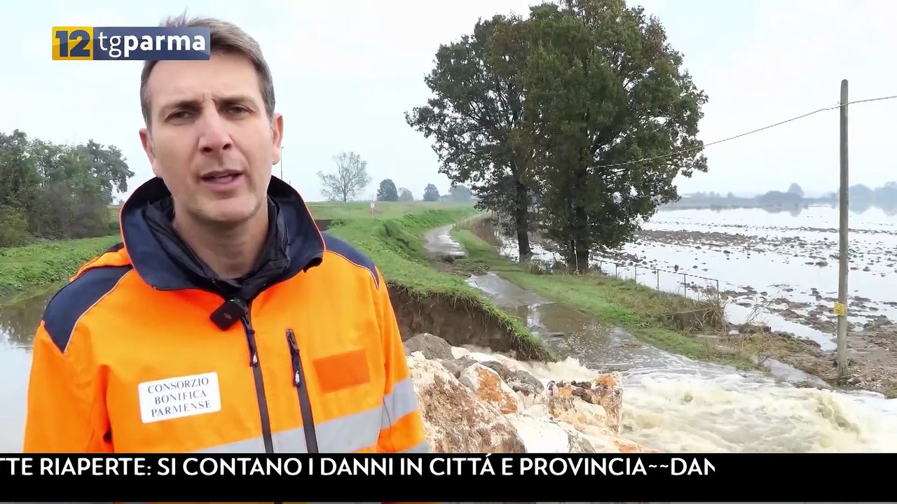 Bonifica