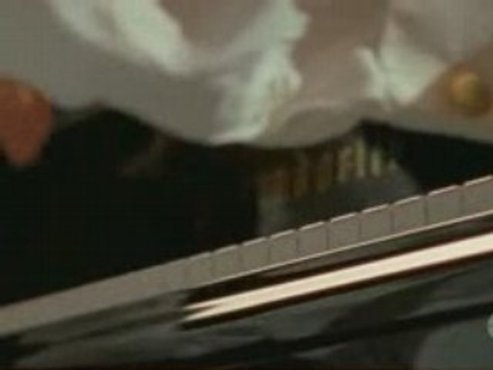 EXTRAIT IDF1 DU 18-06-2008 A 20H20