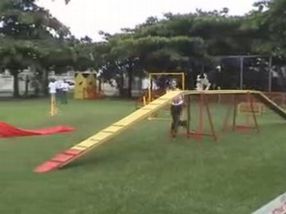 Agility 2on 2off