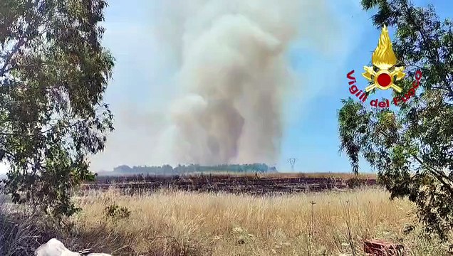 Sardegna in fiamme, gli incendi lambiscono strade e strutture: ettari di vegetazione in fumo - VIDEO