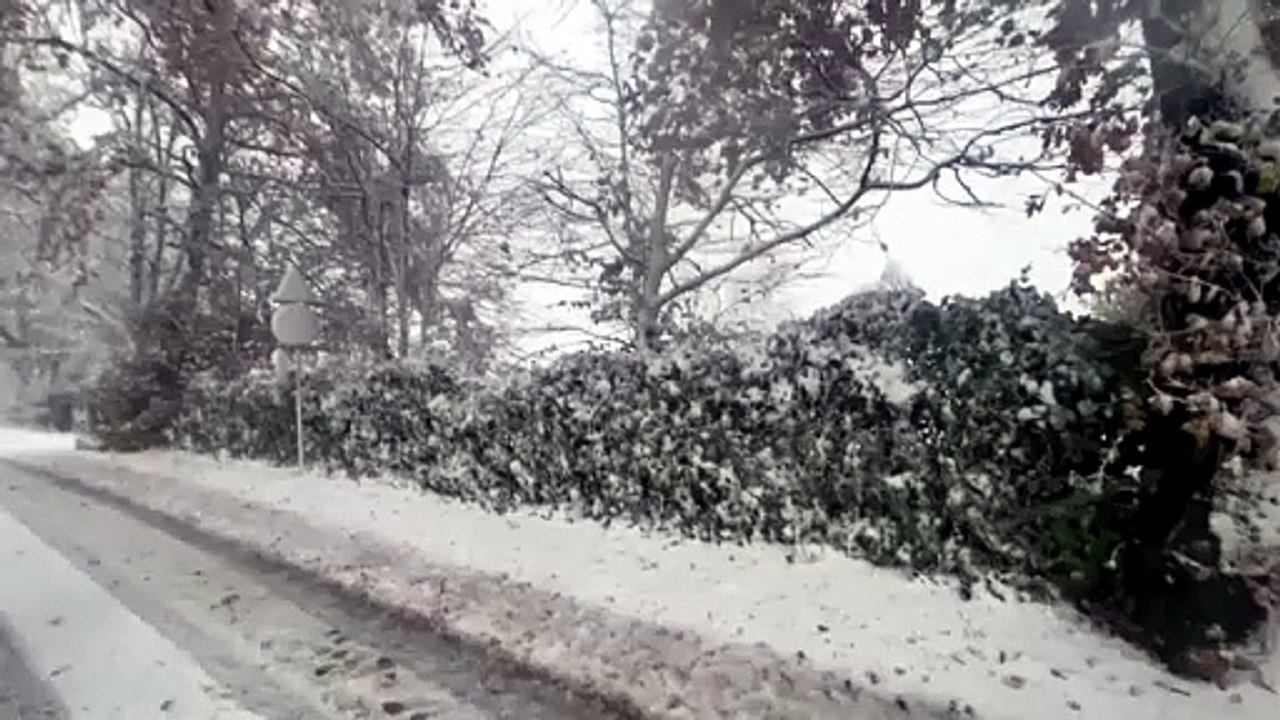 Video-2024-12-08-08-44-40