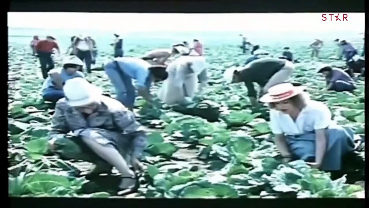 Maturanti Pazi Šta Radis (1984)