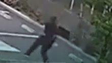Un oso ataca a cuatro personas en Japón