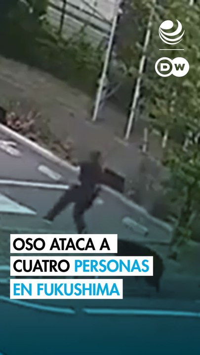 Un oso ataca a cuatro personas en Japón
