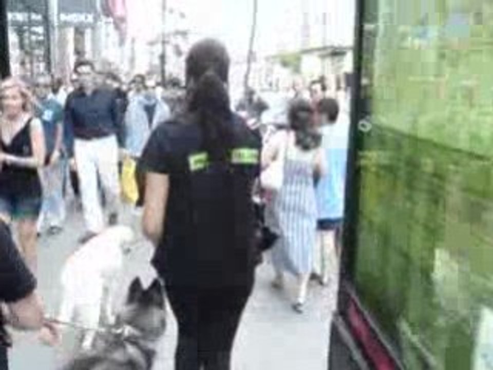 Balade dans la Rue Ste Catherine