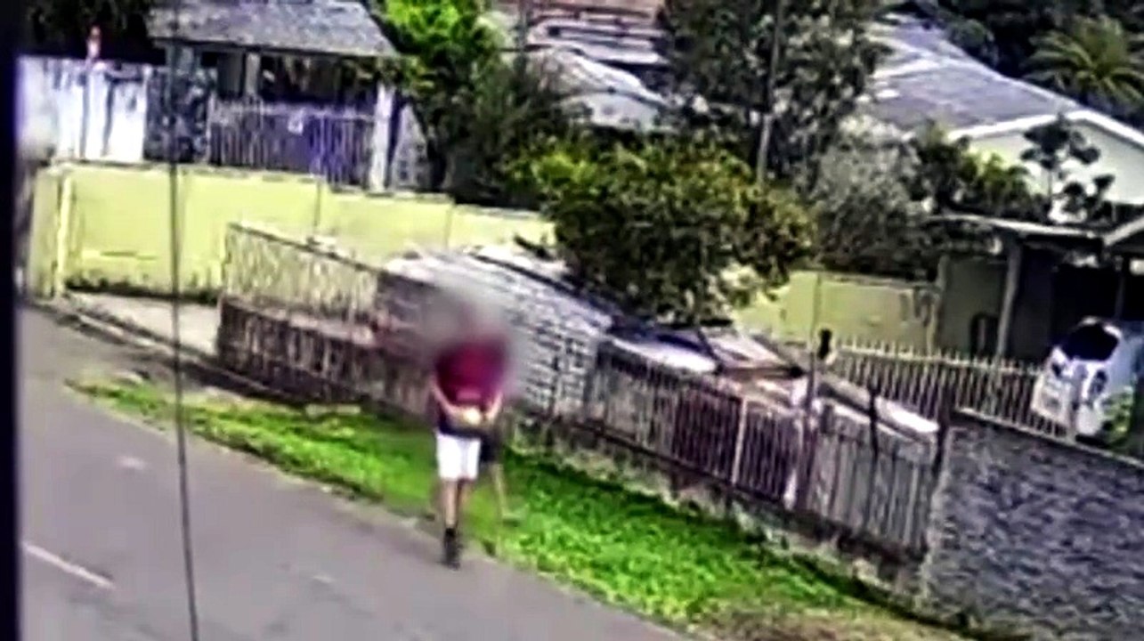 Vídeo mostra criança sendo atacada por nove cães no Paraná; dono vê e não ajuda
