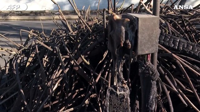 Incendi a Los Angeles, il quartiere di Pacific Palisades in cenere