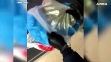 Milano, coltivava droga in una serra allestita in casa: arrestato 29enne