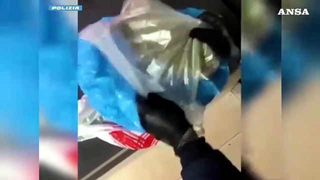 Milano, coltivava droga in una serra allestita in casa: arrestato 29enne
