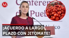 Sheinbaum revela el plan para proteger el precio del jitomate
