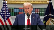 Trump: "L'Ue e' molto cattiva con noi, sara' soggetta a dazi"