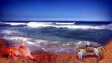 Go Eco Beach, Pt. 1