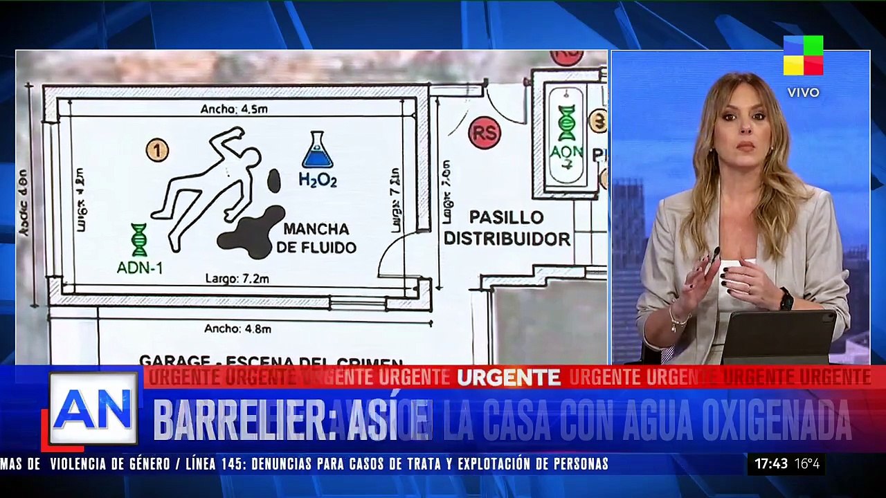 La relación de Barrelier con Marianela