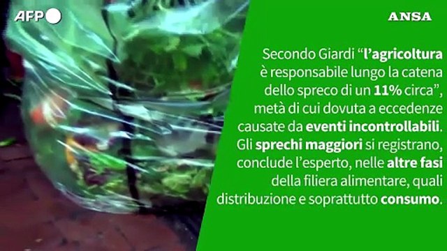 ANSA VERIFIED - E' vero che l'agricoltura e' tra i principali responsabili degli sprechi alimentari?