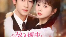 孕入懷中，傅爺萬般寵 | 完整劇集 | Short Drama 繁體中文