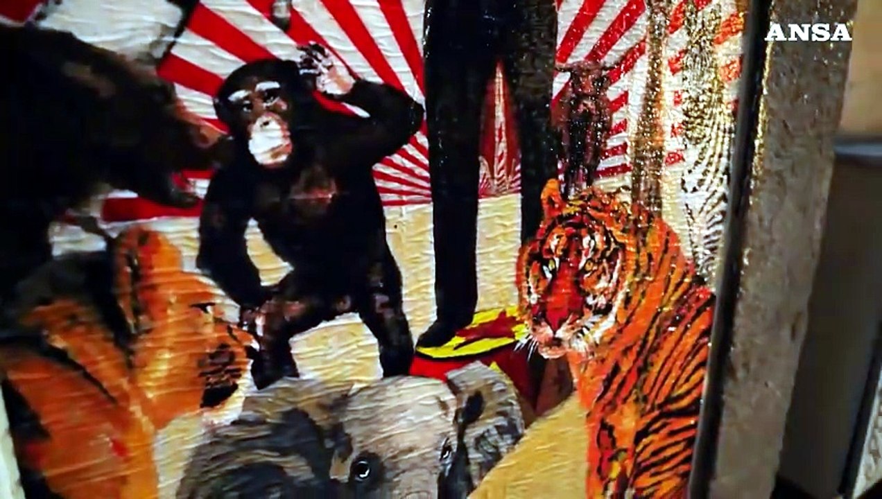 Stop agli animali nei circhi, Harry Greb torna sui muri di Roma