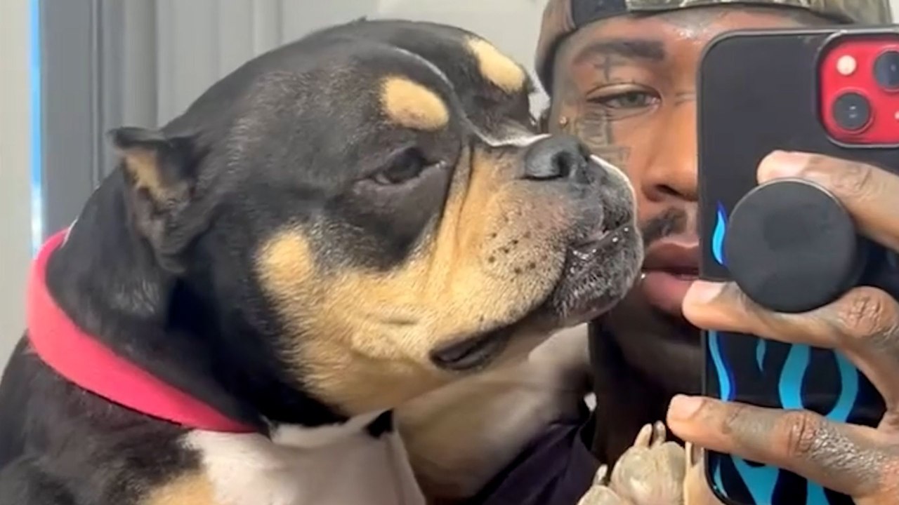 He Started Taking Shelter Pit Bulls On Joyrides