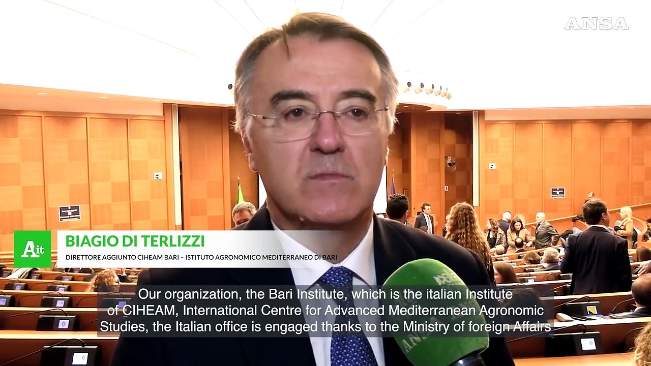 Di Terlizzi (Ciheam): "Italia al centro del dia...