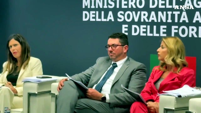 Vinitaly, Ismea: l'Italia dei vini vale 14 miliardi
