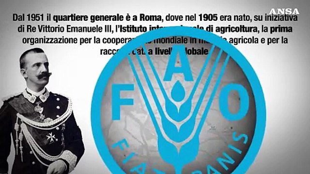Gli 80 anni della Fao e la fame nel mondo