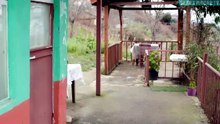 Gelin Capítulo 164 | La Novia | Novela Turca en Español
